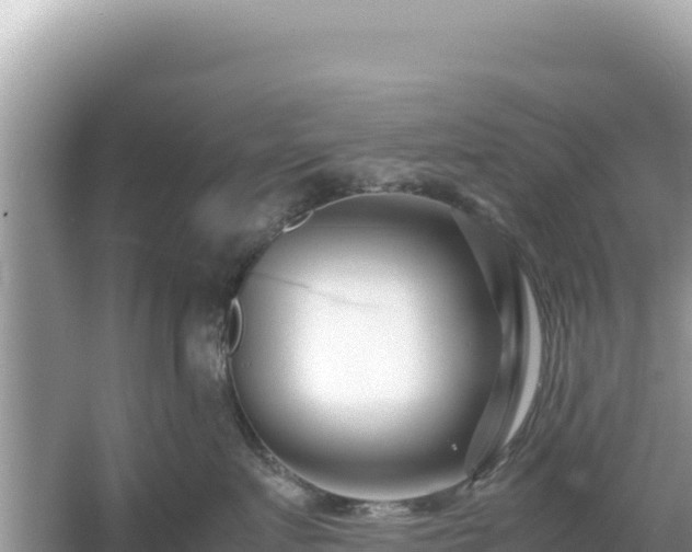 X0000054470719200508052017