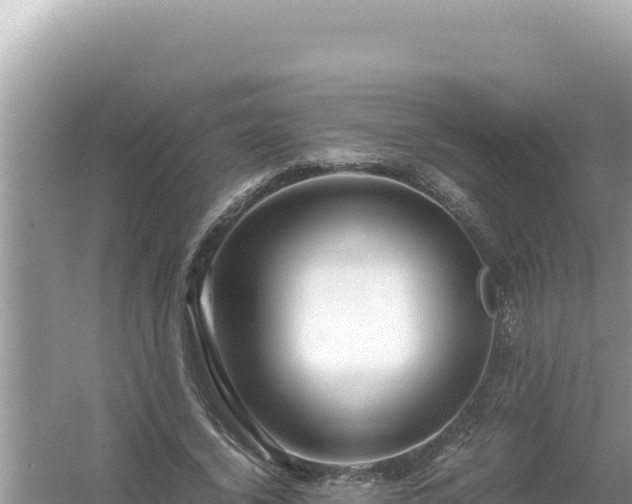 X0000054470732200508052016