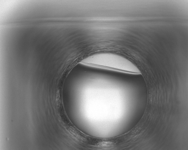 X0000054470748200508052016