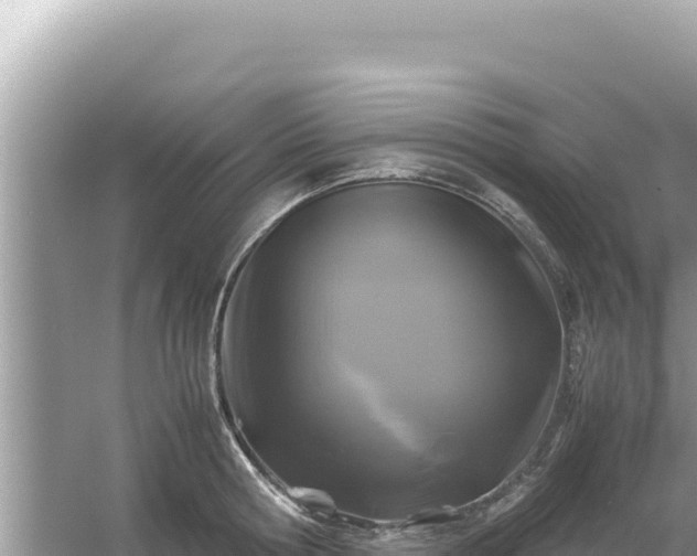 X0000054470802200508052015
