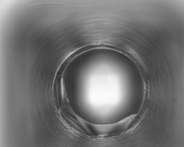 X0000054470876200508052014