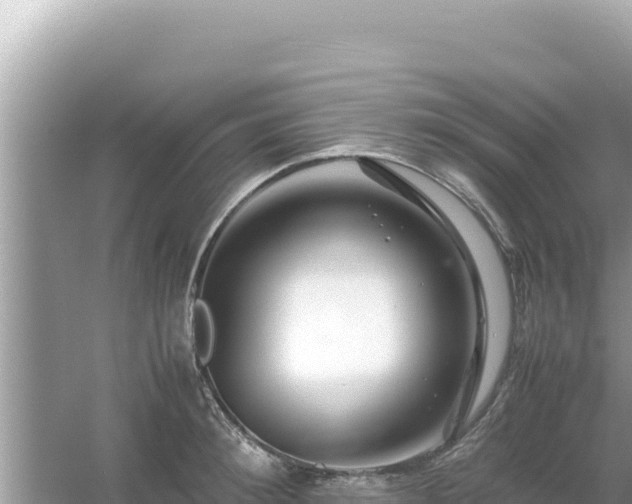 X0000054470900200508052014