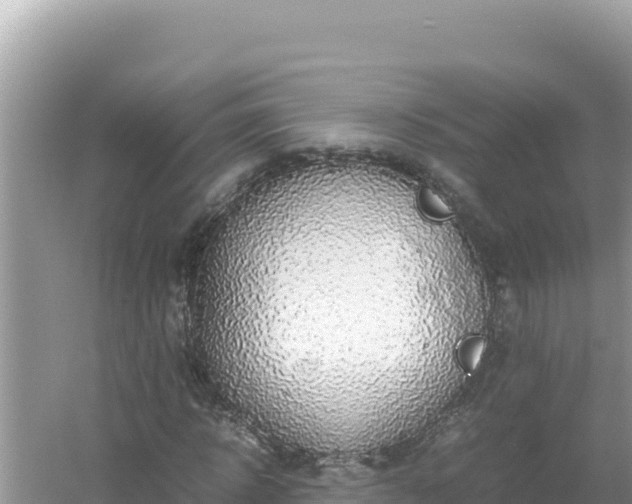 X0000054470918200508052013