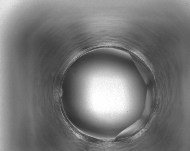 X0000054470993200508052012