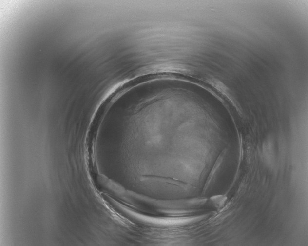 X0000054471024200508052011