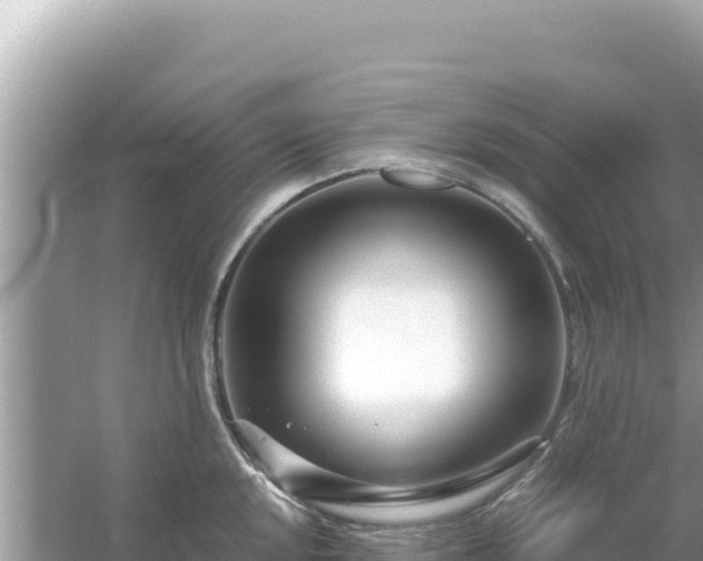 X0000054471048200508052012