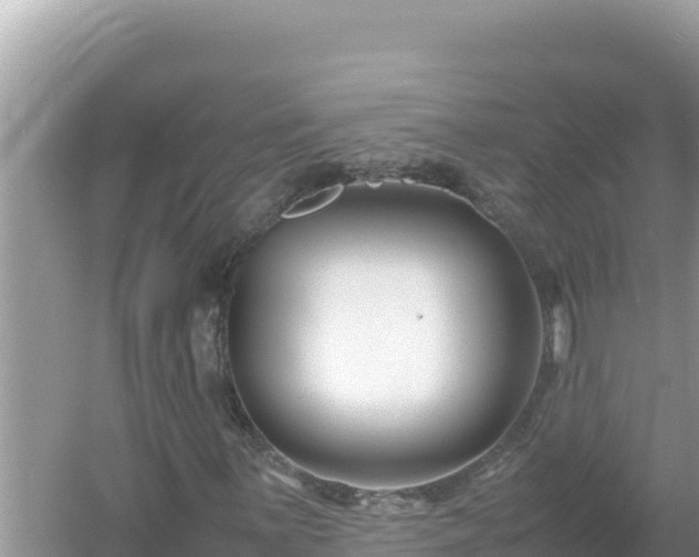 X0000054471059200508052011