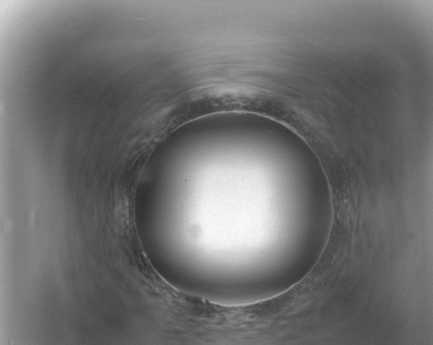X0000054471061200508052011