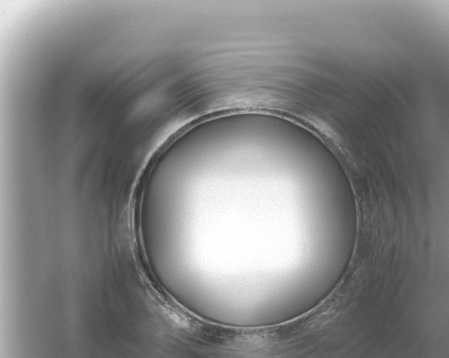 X0000054471078200508052011