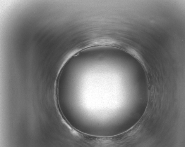 X0000054471103200508052010