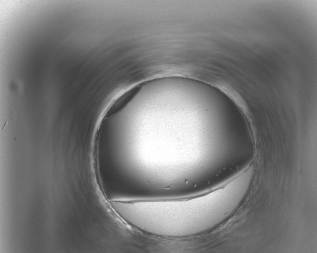 X0000054471104200508052010