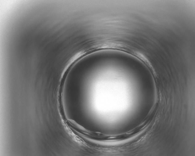 X0000054471138200508052010