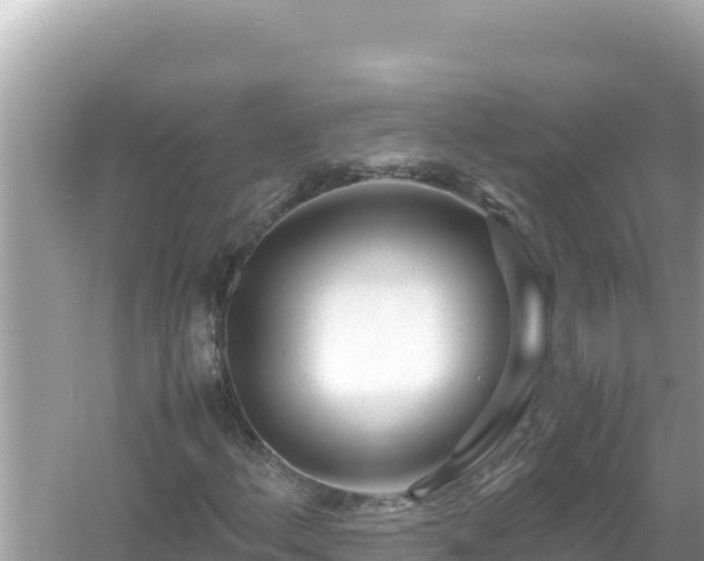 X0000054471156200508052009