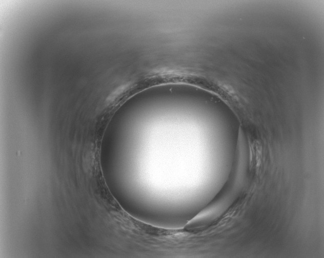 X0000054471157200508052009