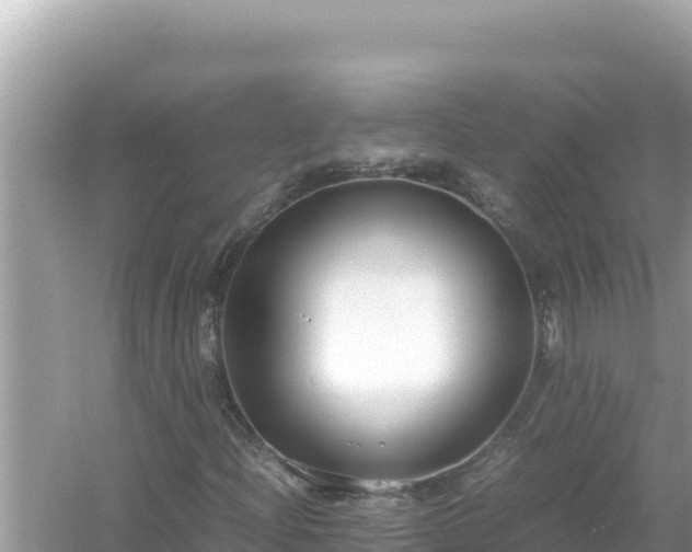 X0000054471204200508052008
