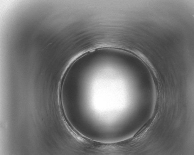 X0000054471246200508052008
