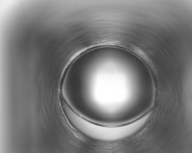 X0000054471332200508052007