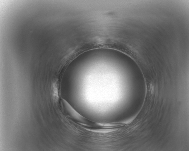 X0000054471348200508052006