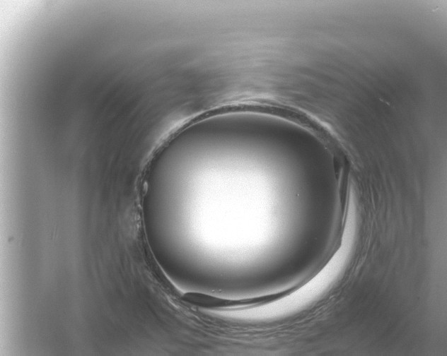 X0000054471363200508052006