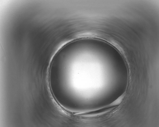 X0000054471392200508052005
