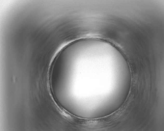 X0000054471470200508052004