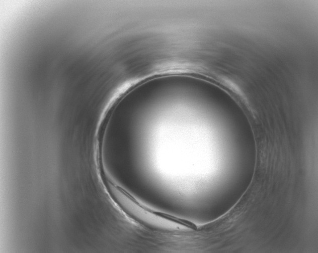 X0000054471472200508052004