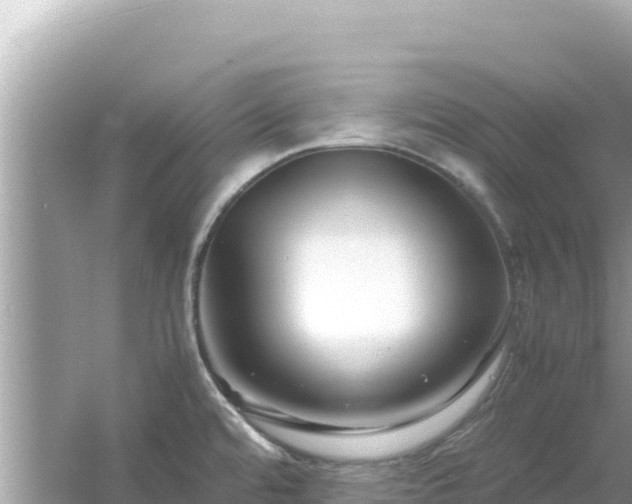 X0000054471480200508052004
