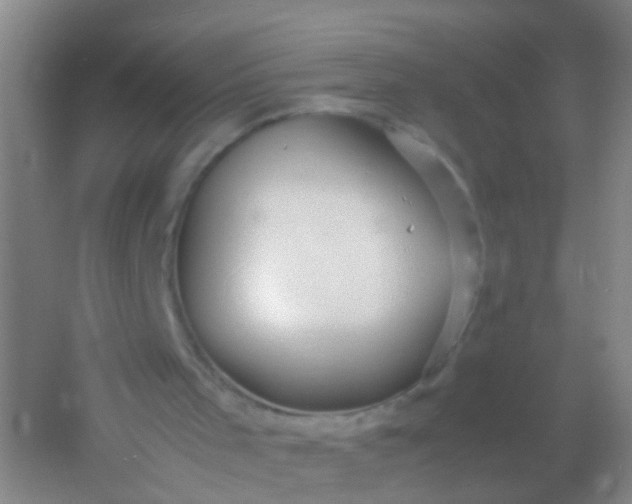 X0000054470001200508122016