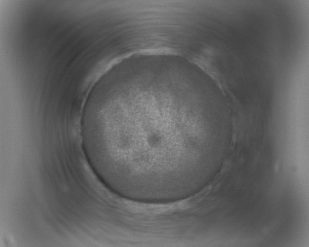 X0000054470002200508122016