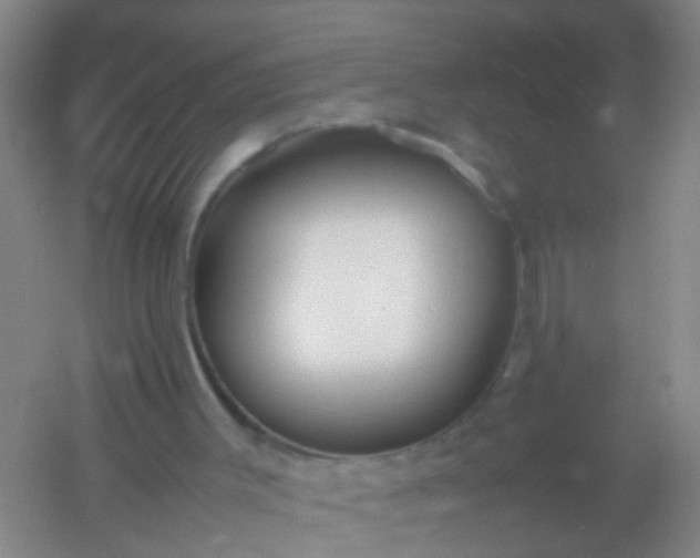 X0000054470003200508122016