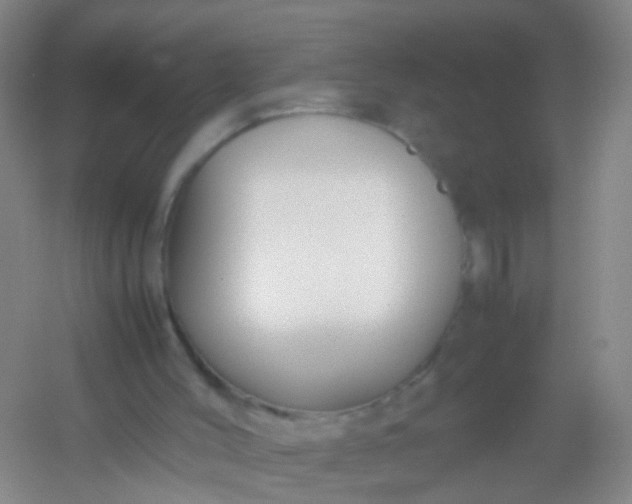 X0000054470004200508122016