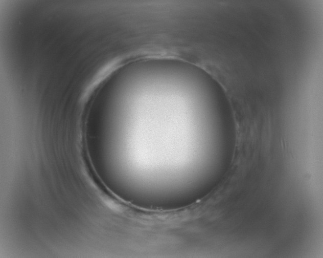 X0000054470005200508122016