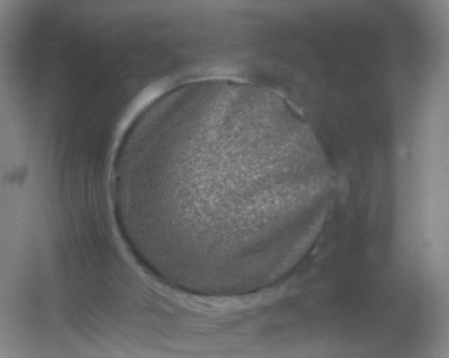 X0000054470006200508122015