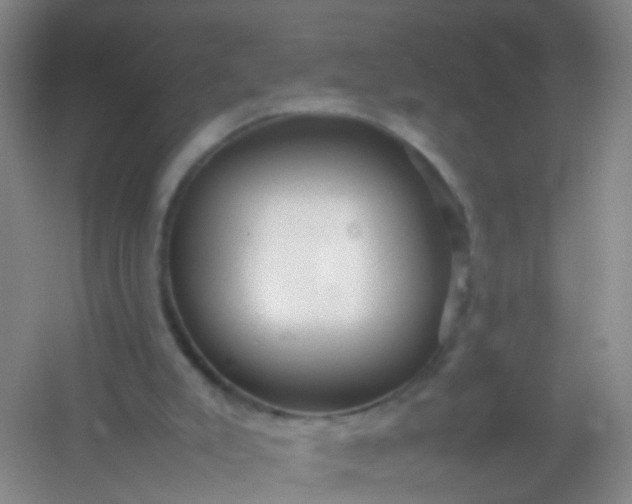 X0000054470007200508122015