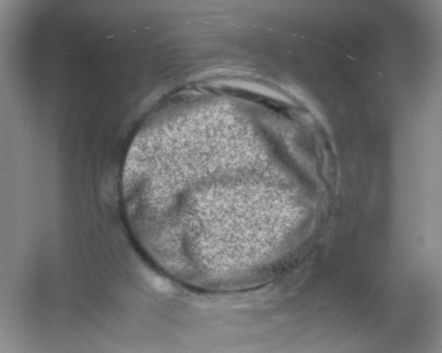 X0000054470009200508122015