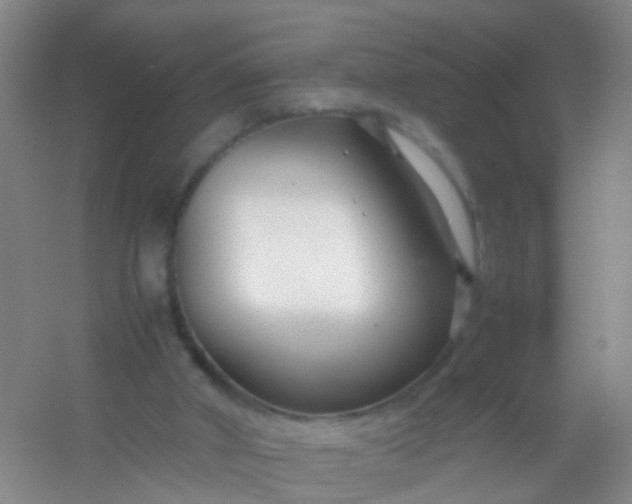 X0000054470010200508122015