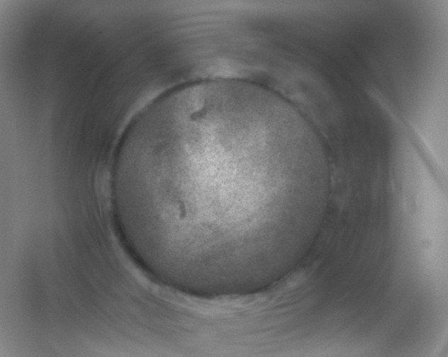 X0000054470012200508122015