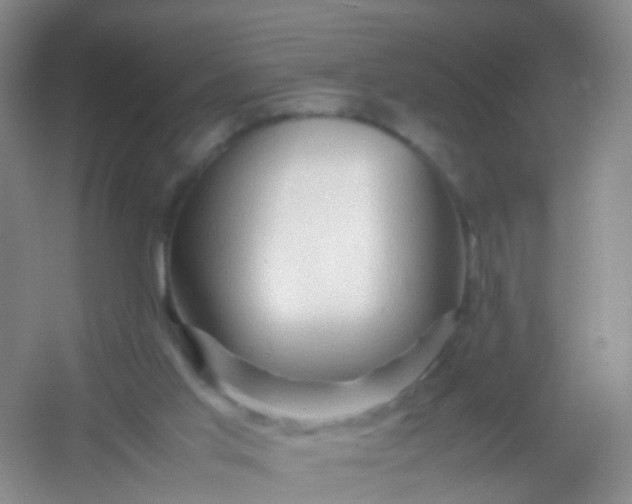 X0000054470013200508122015