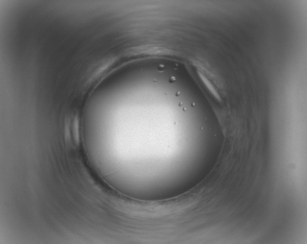 X0000054470014200508122015