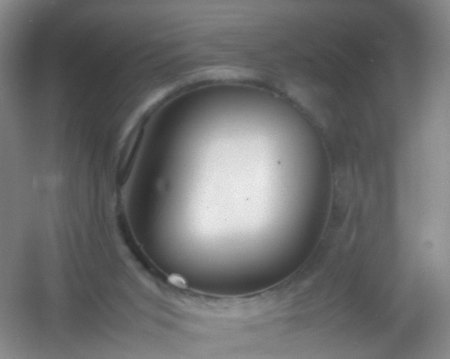 X0000054470015200508122015