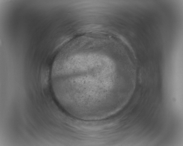 X0000054470018200508122015