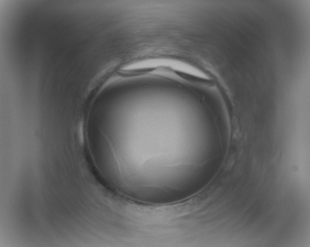 X0000054470019200508122015