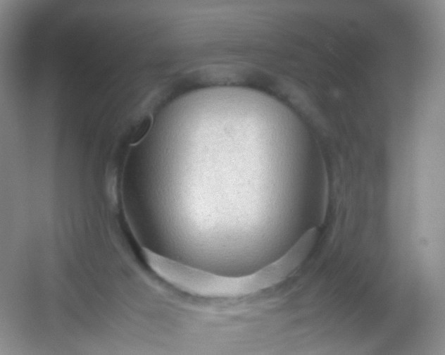 X0000054470021200508122015