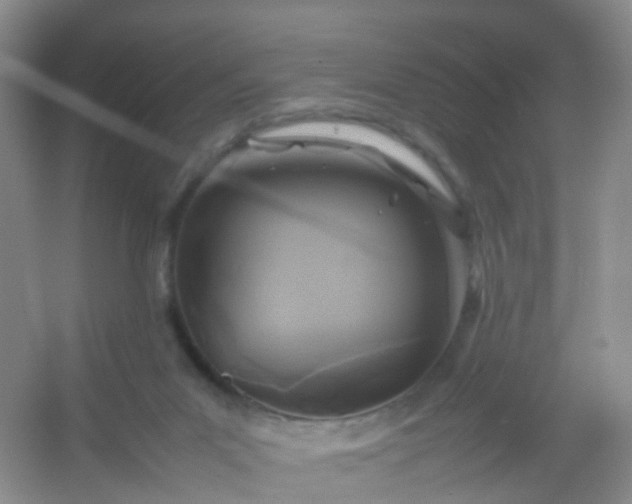 X0000054470023200508122015