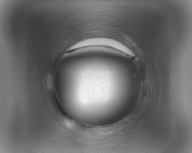 X0000054470025200508122015