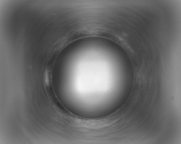 X0000054470026200508122015