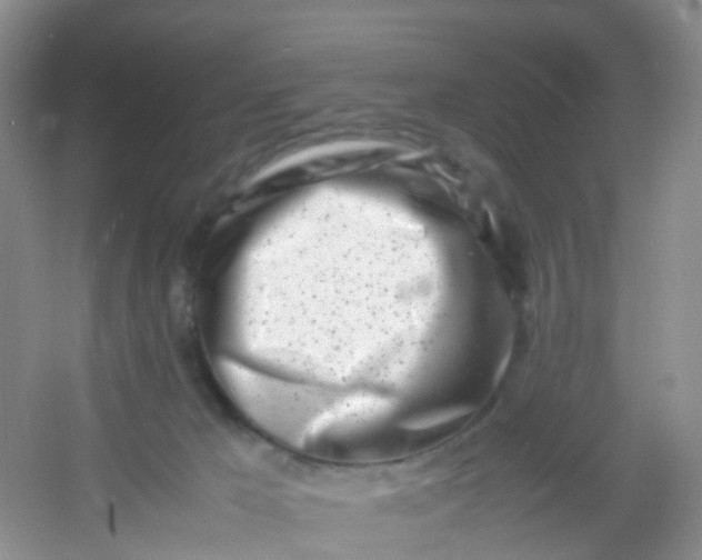 X0000054470029200508122015