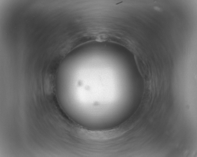 X0000054470030200508122015