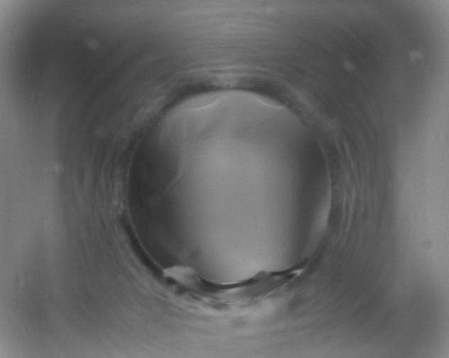 X0000054470031200508122015