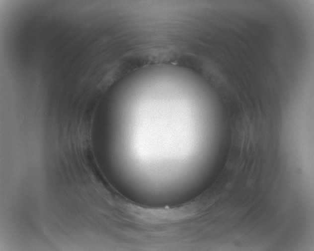 X0000054470034200508122015